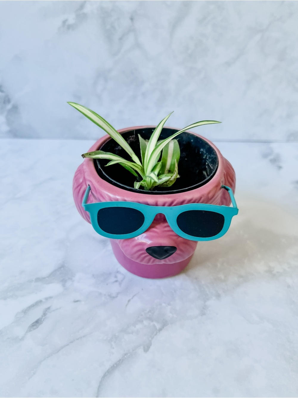 Playful Pink Dog Planter with Teal Sunglasses